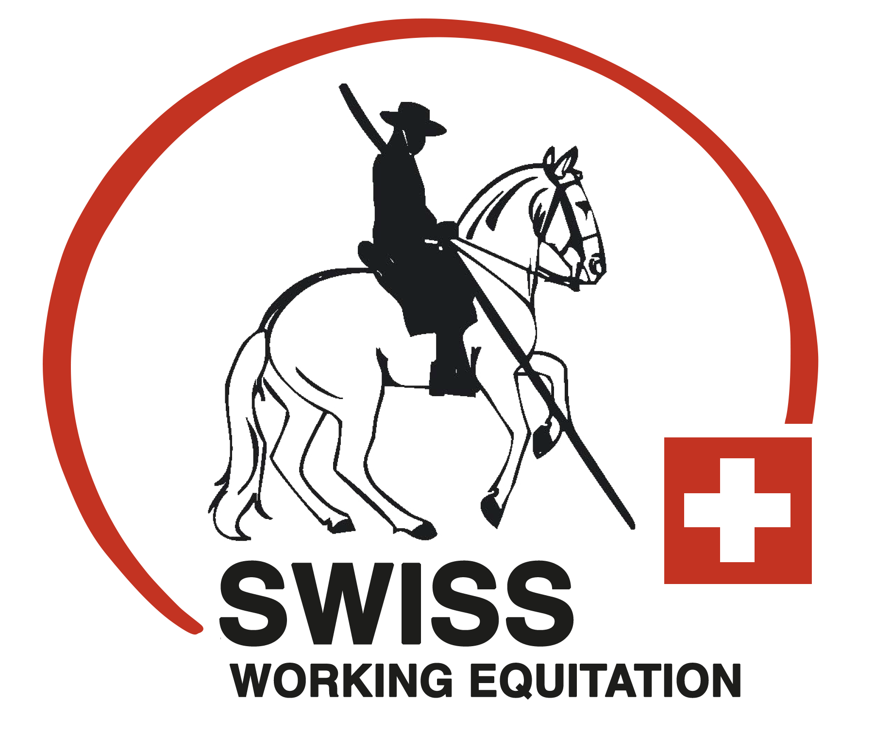 Swfe SWE Ranking